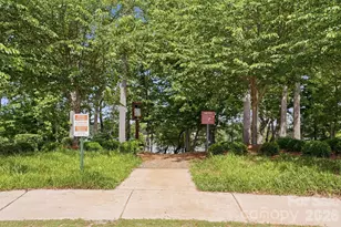 900 Raffaelo View, Mount Holly, NC 28120 - Photo 30