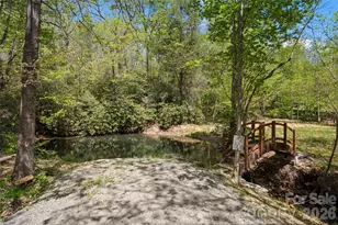 233 Arcadia Fls Wy, Black Mountain, NC 28711 - Photo 42