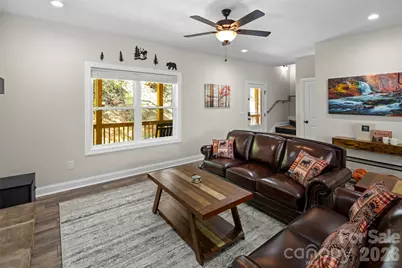 233 Arcadia Falls Way, Black Mountain, NC 28711 - Photo 8
