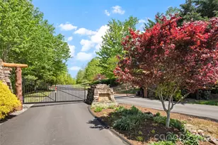 233 Arcadia Fls Wy, Black Mountain, NC 28711 - Photo 38