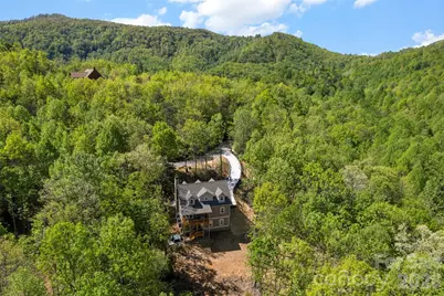 233 Arcadia Falls Way, Black Mountain, NC 28711 - Photo 30