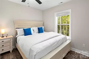 233 Arcadia Fls Wy, Black Mountain, NC 28711 - Photo 24