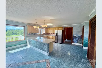 377 Upper Grassy Branch Road, Asheville, NC 28805 - Photo 10