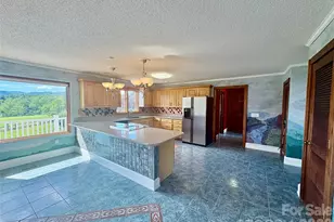 377 Upper Grassy Branch Rd, Asheville, NC 28805 - Photo 10