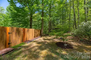 349 Freedom Trail Ct, Zirconia, NC 28790 - Photo 34