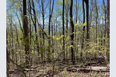 0 Crackin Chestnut Lane, Sylva, NC 28779 - Photo 2