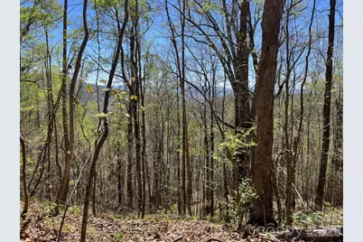 0 Crackin Chestnut Lane, Sylva, NC 28779 - Photo 4