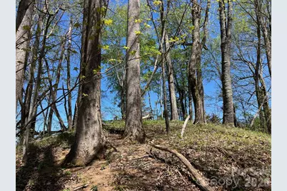 0 Crackin Chestnut Lane, Sylva, NC 28779 - Photo 1