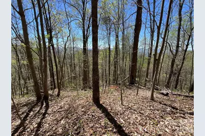 0 Crackin Chestnut Lane, Sylva, NC 28779 - Photo 6