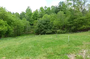 3151 Lump Town Rd, Marshall, NC 28753 - Photo 48