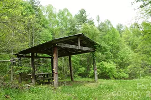3151 Lump Town Rd, Marshall, NC 28753 - Photo 44