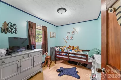 1000 Mountain View Church Road, Zirconia, NC 28790 - Photo 18