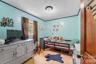 1000 Mountain View Church Rd, Zirconia, NC 28790 - Photo 18