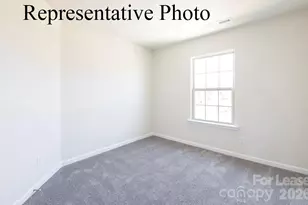 22043 Lani Dr, Charlotte, NC 28273 - Photo 12
