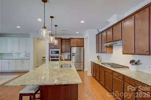 15420 Cimarron Hills Ln, Charlotte, NC 28278 - Photo 12