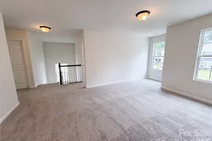 3207 Ringtail Ln, Charlotte, NC 28216 - Photo 12
