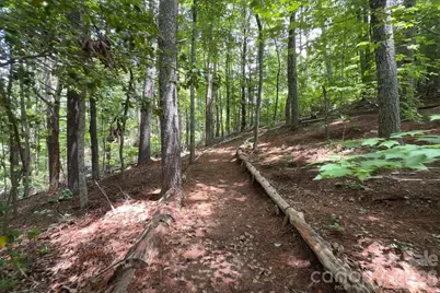 153 Skyview Circle, Asheville, NC 28804 - Photo 40