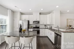 3047 Potomac River Pkwy, Charlotte, NC 28217 - Photo 8