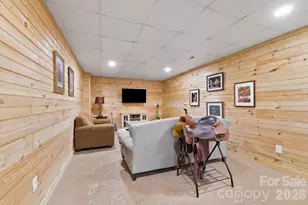 344 Wolf Trail, Lake Lure, NC 28746 - Photo 22