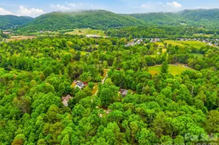 19 Doshia Ln, Fletcher, NC 28732 - Photo 44