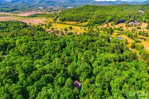 33 Southerland Rd, Pisgah Forest, NC 28768 - Photo 46