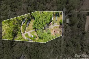 290 Hookers Gap Rd, Candler, NC 28715 - Photo 22