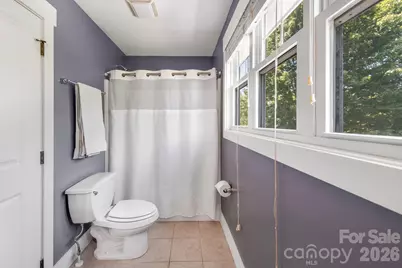 157 Estelle Park Drive, Asheville, NC 28806 - Photo 30