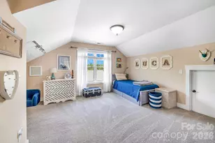 157 Estelle Park Dr, Asheville, NC 28806 - Photo 32