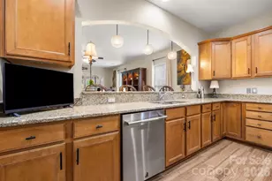 2009 Maned Goose Ct, Fort Mill, SC 29707 - Photo 8