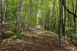 209 Ivy Hill Rd, Hendersonville, NC 28792 - Photo 34