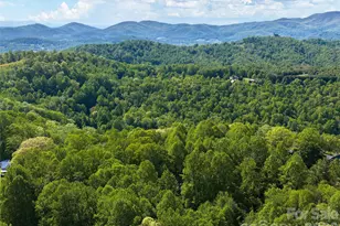 209 Ivy Hill Rd, Hendersonville, NC 28792 - Photo 38