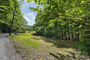 209 Ivy Hill Rd, Hendersonville, NC 28792 - Photo 40