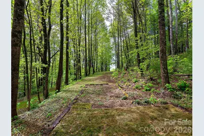 209 Ivy Hill Road, Hendersonville, NC 28792 - Photo 32