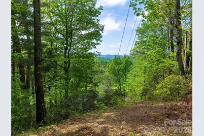 209 Ivy Hill Road, Hendersonville, NC 28792 - Photo 38