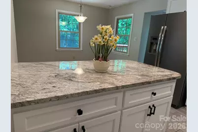 3840 Cherry Grove Drive, Hickory, NC 28602 - Photo 14