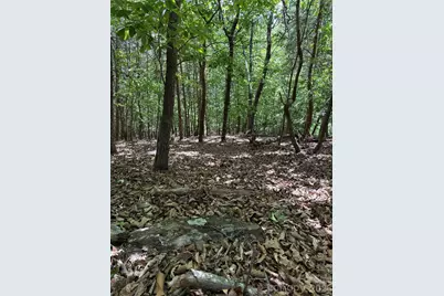 11 Summit Parkway #11, Bostic, NC 28018 - Photo 14