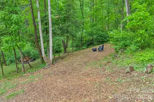 38 Macey Dr, Nebo, NC 28761 - Photo 38