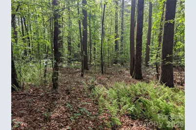 00 Hosta Lane, Hendersonville, NC 28739 - Photo 14