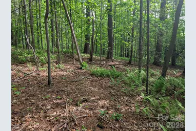 00 Hosta Lane, Hendersonville, NC 28739 - Photo 16