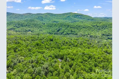 565 Pinewood Knoll Drive, Hendersonville, NC 28739 - Photo 40