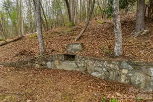 98 Limberlost Dr, Hendersonville, NC 28739 - Photo 22