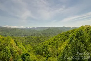 1095 Big Rockys Rd, Bryson City, NC 28713 - Photo 18
