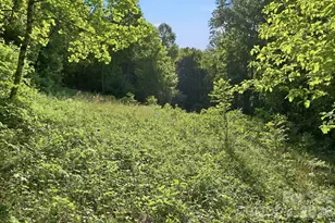 98 Sparkling Springs Rd, Fairview, NC 28730 - Photo 46
