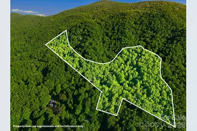 98 Sparkling Springs Road, Fairview, NC 28730 - Photo 48