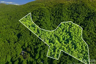98 Sparkling Springs Rd, Fairview, NC 28730 - Photo 48