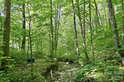 98 Sparkling Springs Road, Fairview, NC 28730 - Photo 42