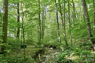 98 Sparkling Springs Rd, Fairview, NC 28730 - Photo 42