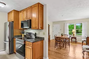 401 Lower Grassy Branch Rd, Asheville, NC 28805 - Photo 8