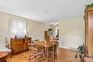 401 Lower Grassy Branch Rd, Asheville, NC 28805 - Photo 4