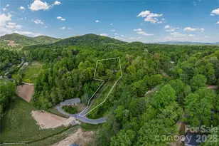 155 Old Starnes Cove Rd, Asheville, NC 28806 - Photo 38